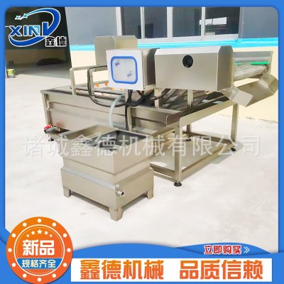 商用不銹鋼葉菜類清洗機 萵苣清洗設備 全自動果蔬氣泡清洗機