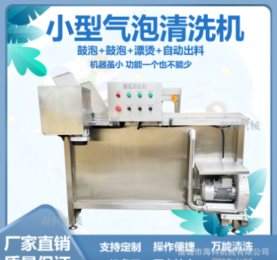 小型果蔬氣泡清洗機(jī) 半成品預(yù)制菜加工設(shè)備 翻藍(lán)自動(dòng)出料洗菜機(jī)器