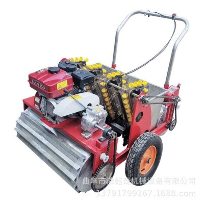 潾鈺奇大蒜播種機 汽油動力6行種蒜機 五行農(nóng)用大蒜種植機