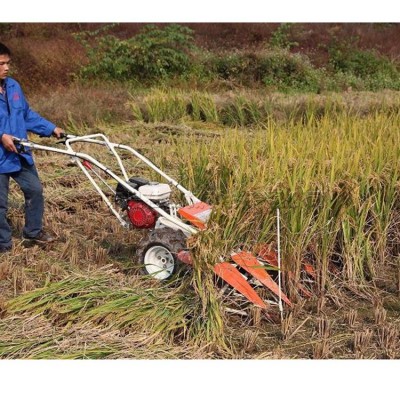 手推式玉米花生割曬機(jī) 汽油移動(dòng)式水稻谷子收割機(jī) 農(nóng)用秸稈放倒機(jī)