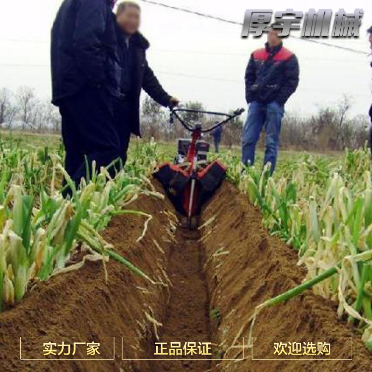 開溝機(jī)現(xiàn)場