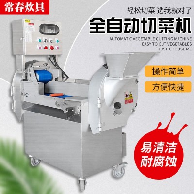 廠家現(xiàn)貨電動多功能切絲切片切丁一體機(jī)801商用不銹鋼雙頭 切菜機(jī)