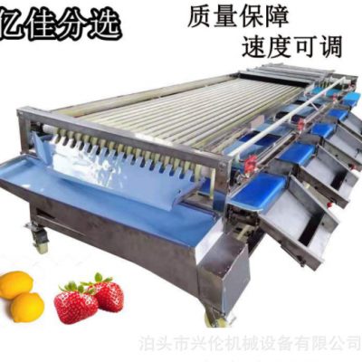 臍橙篩選機(jī)百香果分揀機(jī)核桃分級(jí)機(jī)李子分果機(jī)皮帶式分選機(jī)