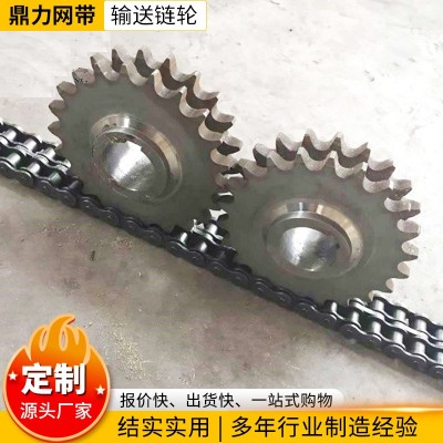 大節距輸送鏈條鏈輪 單雙排機械配件工業鏈條不銹鋼鏈輪工業齒輪