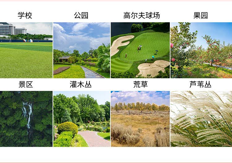 駕駛式草坪機_07