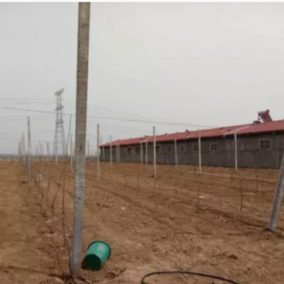 陜西滴灌管價格_陜西滴灌管哪家好_選擇楊凌潤沃價格低