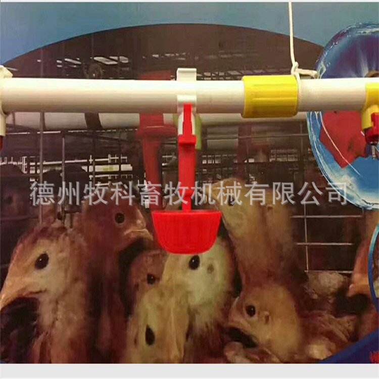 QQ圖片20171209155613