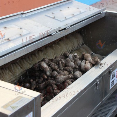 芋頭大棗清洗機 土豆紅薯毛刷清洗去皮機哪家好