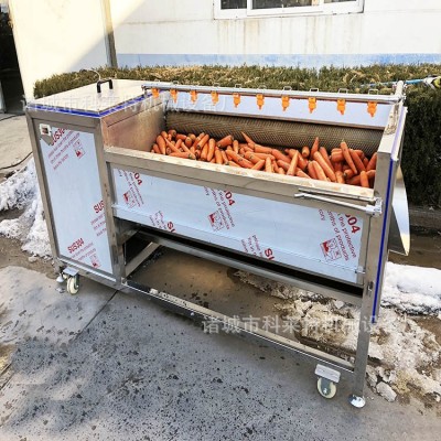 胡蘿卜清洗機(jī) 毛刷清洗機(jī) 紅薯土豆胡蘿卜馬鈴薯根莖類清洗加工