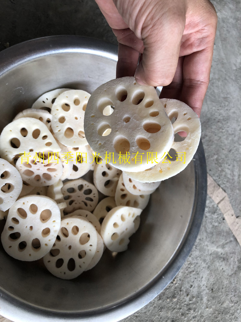 循環(huán)鏈條式速凍機