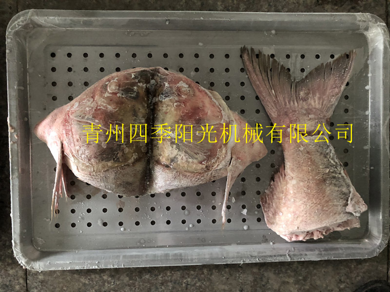 循環(huán)鏈條式速凍機