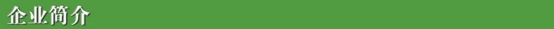 企業(yè)簡介1.jpg