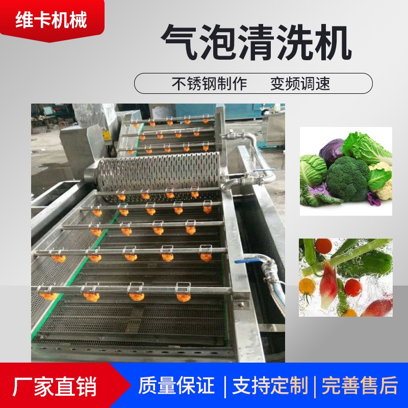 山東維卡機械波浪式瓜果清洗設備 專業廠家直供氣泡式自動清洗機