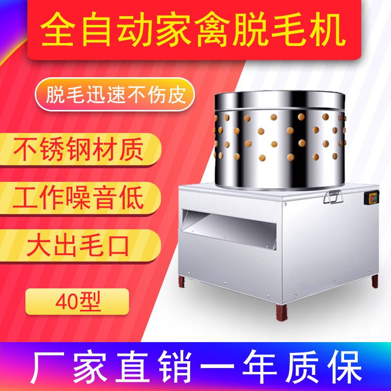 不銹鋼家禽脫毛機40型大小鳥類鴿子鵪鶉雞鴨鵝電動打毛機廠家直銷