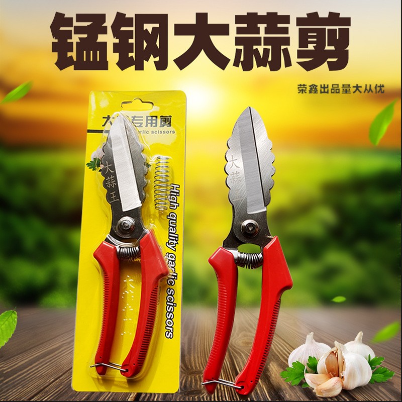 農用工具大蒜剪刀廠家65錳鋼白頭剪洋蔥蒜胡頭苗根莖大頭蒜剪子