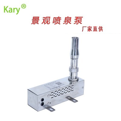 噴泉泵 DC24v景觀音樂噴泉泵 無刷不銹鋼直流旱噴波光噴泉大流量