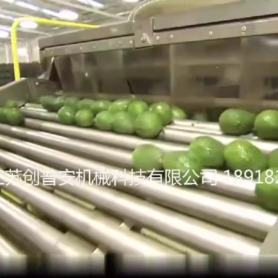 鱷梨牛油果泥果醬果油提取加工生產線設備機械