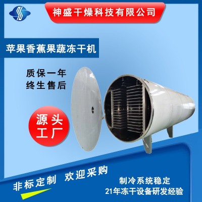 廠家供應(yīng)蘋果凍干機(jī)香蕉梨子凍干機(jī) 檸檬果蔬凍干機(jī)（5-250平方）