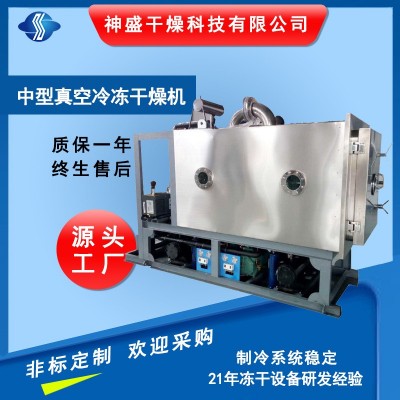 調(diào)味品方便食品冷凍干燥機(jī) 大型水果蔬菜低溫冷凍干燥機(jī)廠家現(xiàn)貨