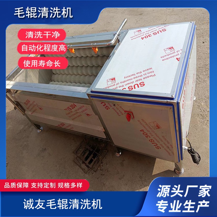 不銹鋼全自動毛輥清洗機(jī) 蘿卜紅薯生姜去皮去泥清洗設(shè)備