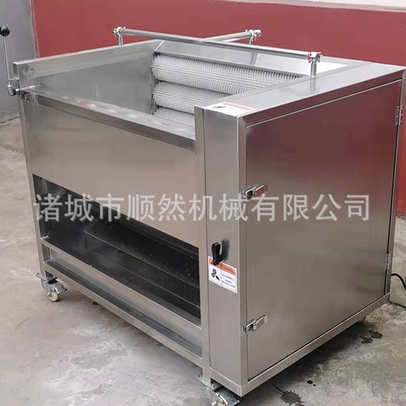 土豆去皮毛輥清洗機(jī)全自動紅薯清洗去皮機(jī)大姜蘿卜毛輥清洗設(shè)備
