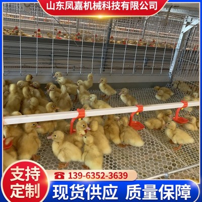 現貨供應籠養設備 農業養殖機械肉鴨籠 鴨子籠養殖場用的肉鴨籠