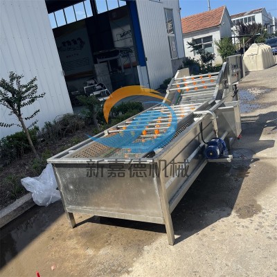 果蔬氣泡清洗機 多功能蔬菜清洗機 小白菜噴淋式洗菜機