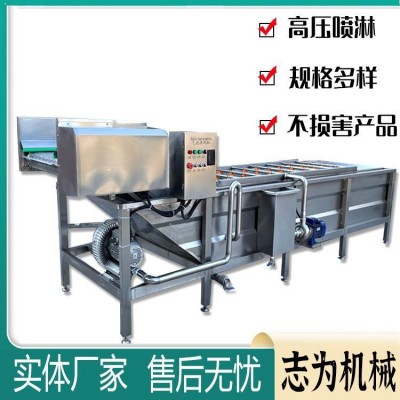 全自動(dòng)氣泡清洗機(jī) 黃花菜大棗蘋果清洗機(jī) 大型商用辣椒清洗機(jī)設(shè)備