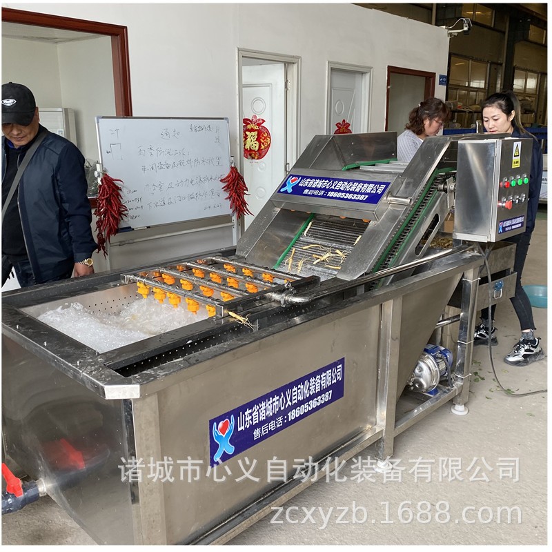 馬青菜清洗加工流水線 小油菜凈菜加工整線工程線 小白菜加工設備