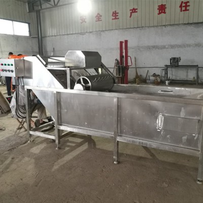 廠家供應果蔬氣泡清洗機 高壓氣泡清洗機 全自動蔬菜清洗機