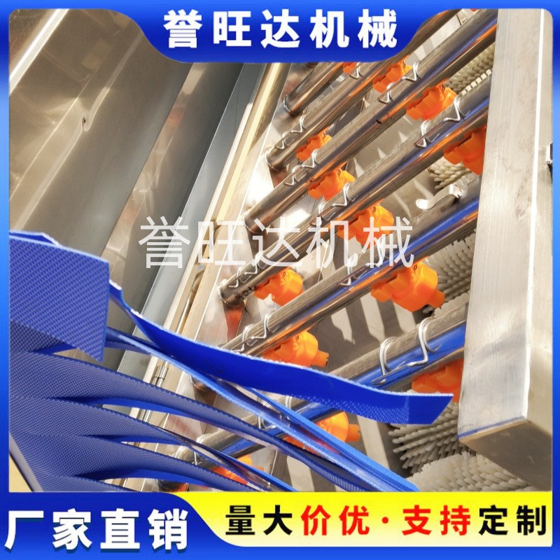 冰糖橙清洗風干去水打蠟流水線 柑橘清洗流水線 汽泡洗橘子機器