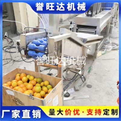 節(jié)水型果蔬汽泡清洗機 汽泡橙子清洗機 四川椪柑循環(huán)水毛刷清洗機