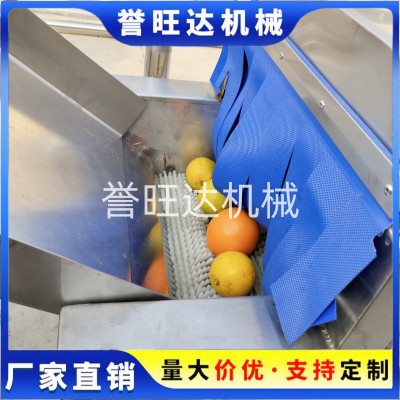 山竹橙子清洗機 自動鼓泡水果清洗機 小型打蠟分級風(fēng)干洗臍橙機