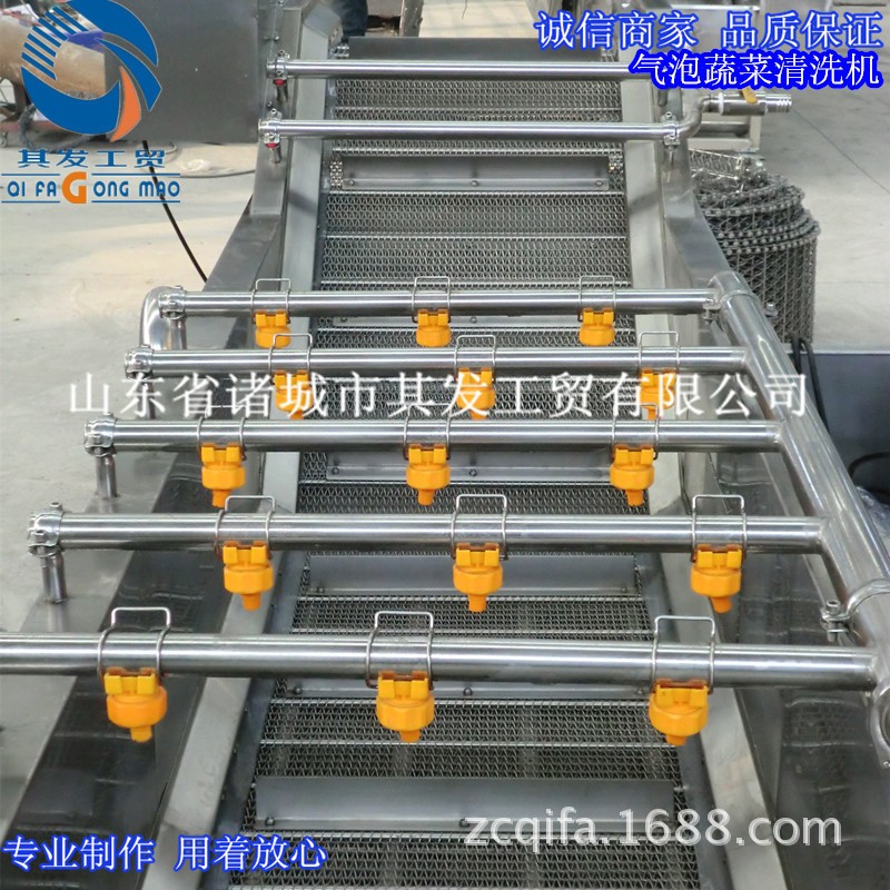 諸城市其發工貿供應氣泡翻浪清洗機 葉菜類蔬菜清洗機 瓜果清洗