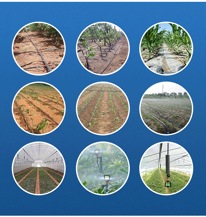 未標(biāo)題-1_06