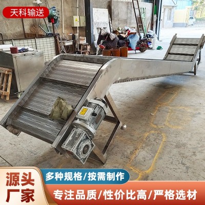 鏈板提升機廠家直供 小型電動斗式上料機流水線 鏈板式爬坡提升機