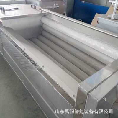 鮮姜毛輥去皮清洗機 老姜全自動毛輥去皮祛泥清洗機 廠家現貨供應