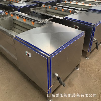 山藥毛輥去皮清洗機 蓮藕全自動毛輥去皮祛泥清洗機 廠家現貨供應
