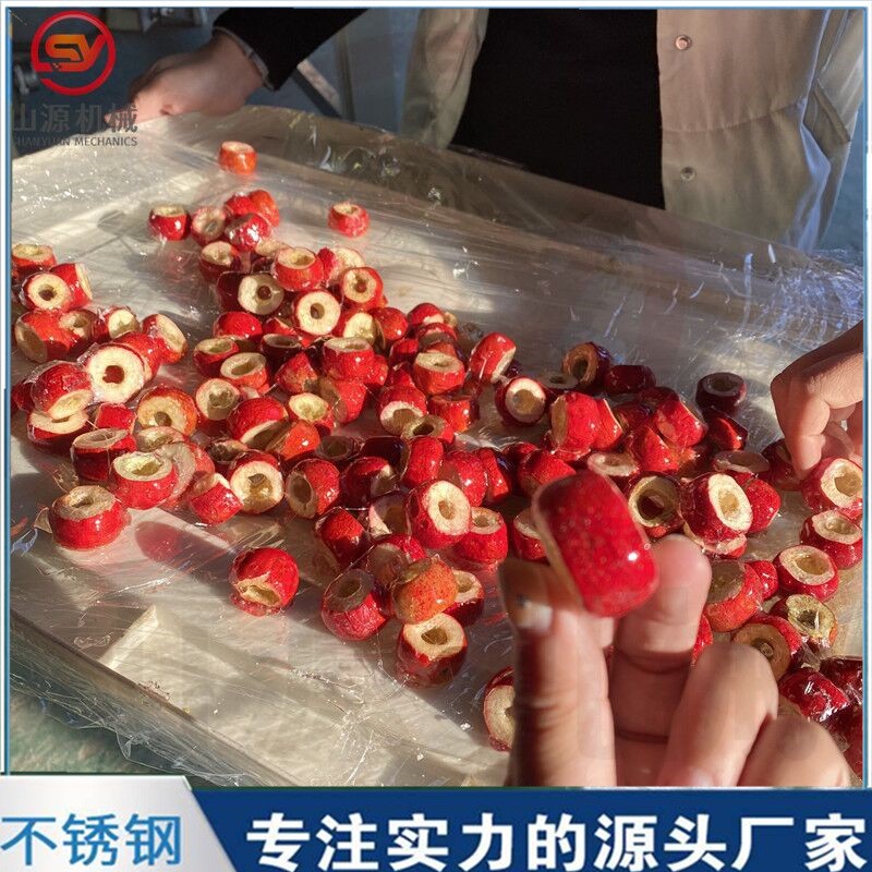 凍干冰糖葫蘆裹糖機 全自動上糖漿機設備 嘎嘣脆空心山楂上糖機