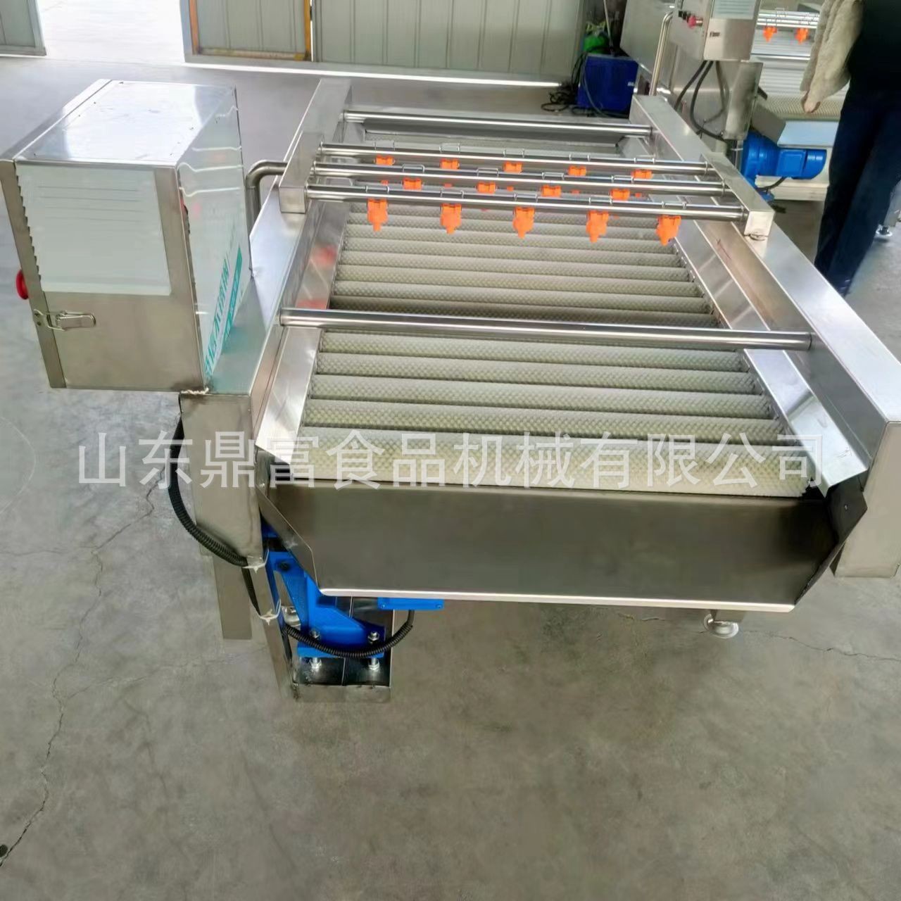 新鮮葉菜類清洗機(jī) 大批量蔬菜葉子清洗設(shè)備 鼓泡清洗機(jī)配高壓噴淋