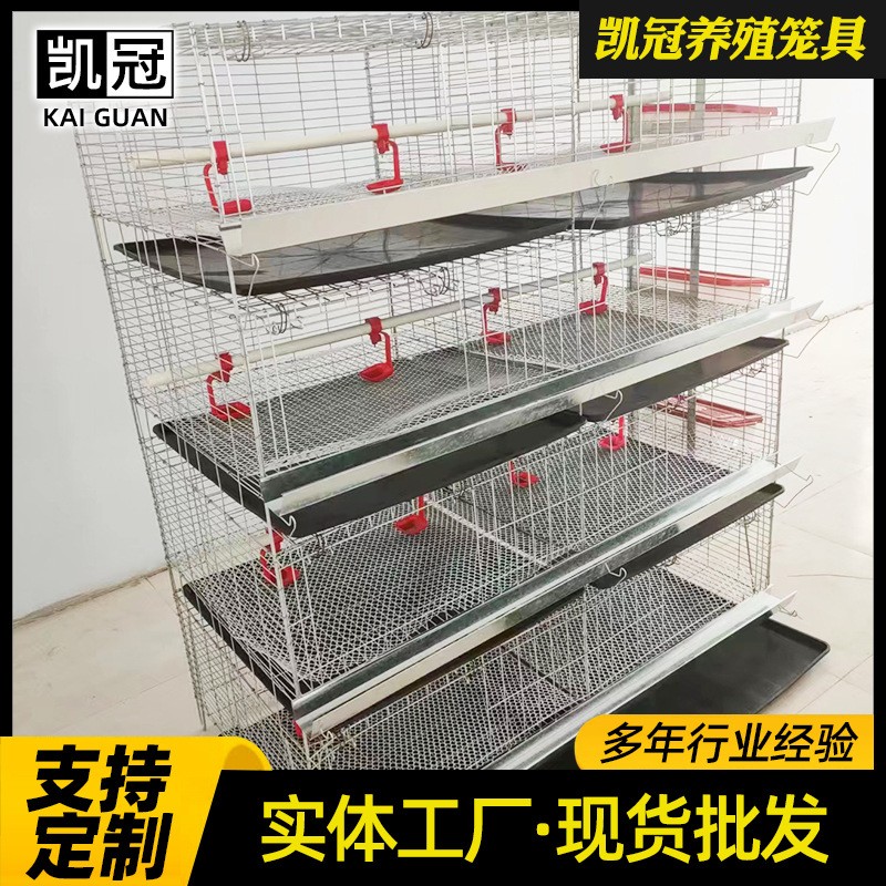 廠家供應育雛雞籠 多層小雞籠子蛋雞育雛籠 畜牧養(yǎng)殖專用飼養(yǎng)設備