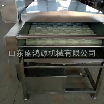 紅薯土豆去皮清洗機(jī) 全自動毛刷輥洗姜機(jī) 多功能根莖類藥材清洗機(jī)