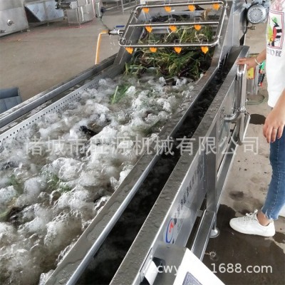 預(yù)制菜清洗流水線 芋頭清洗機(jī) 自動(dòng)噴淋清洗蔬菜設(shè)備 旺源