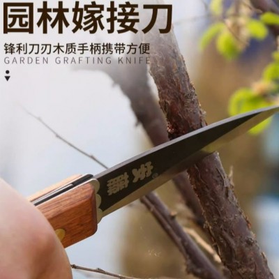 臺灣安藤園林園藝工具 AT-A408苗木嫁接刀果樹稼接工具折疊芽接刀