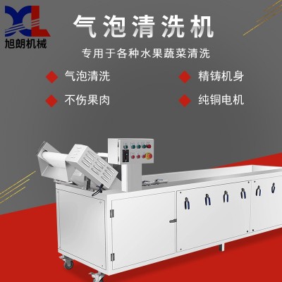 旭朗氣泡清洗機全自動小型葡萄紅棗水果風干洗菜機果蔬清洗機工廠