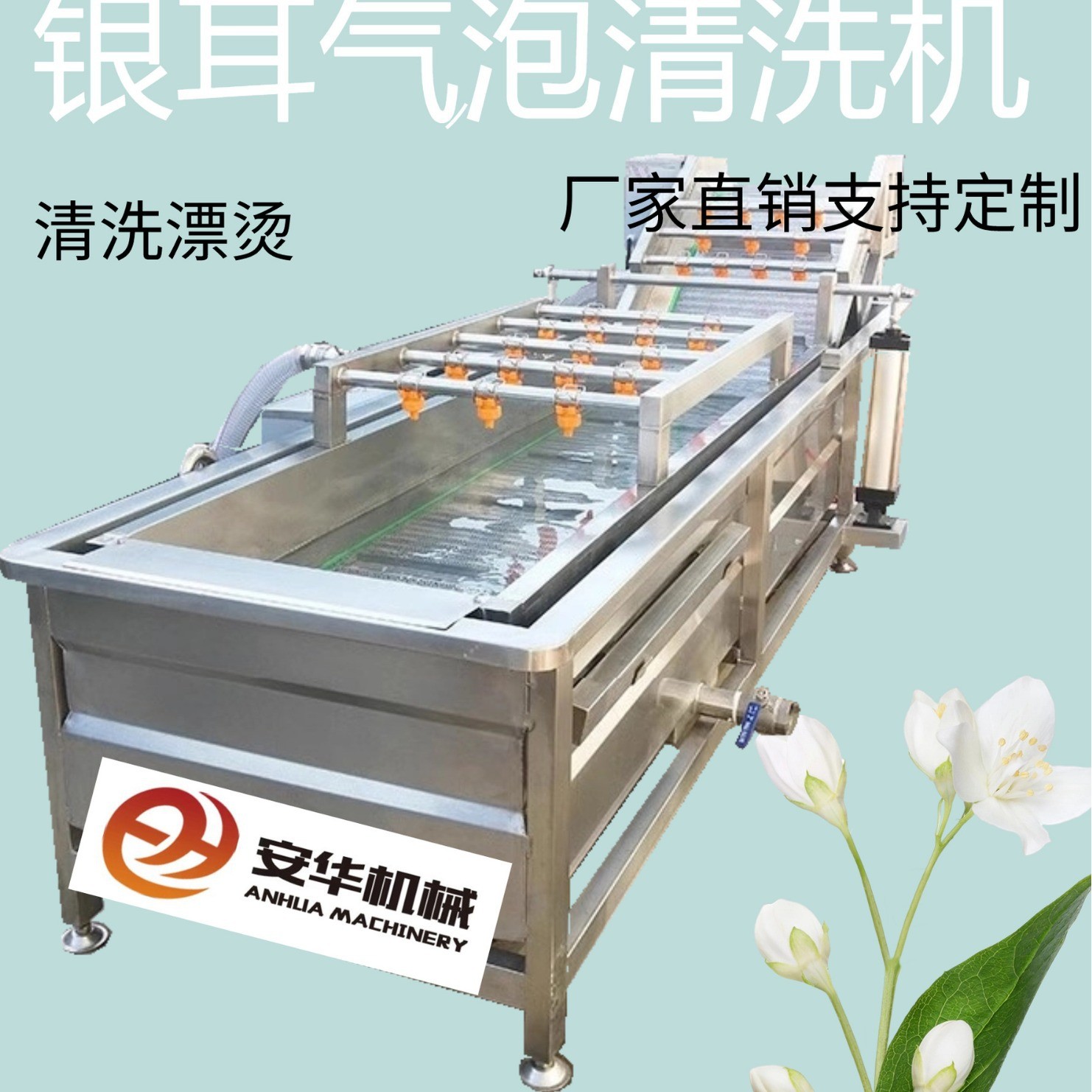 全自動果蔬氣泡清洗機(jī)藍(lán)莓圣女果銀耳毛豆清洗機(jī)臭氧果蔬消毒設(shè)備