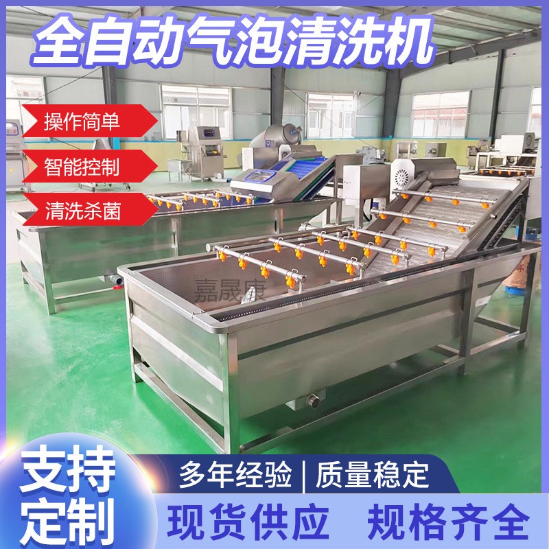 全自動氣泡清洗機(jī)葉類蔬菜清洗機(jī)氣泡翻滾清洗機(jī)不銹鋼果蔬清洗機(jī)