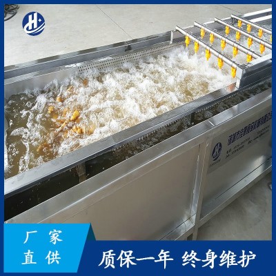 大型自動化洗姜機器 平行式高壓噴淋清洗機 鮮姜姜芽生姜清洗設(shè)備