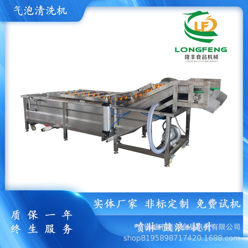 全自動商用洗菜機 玉米氣泡清洗機 不銹鋼辣椒鼓浪式氣泡清洗機