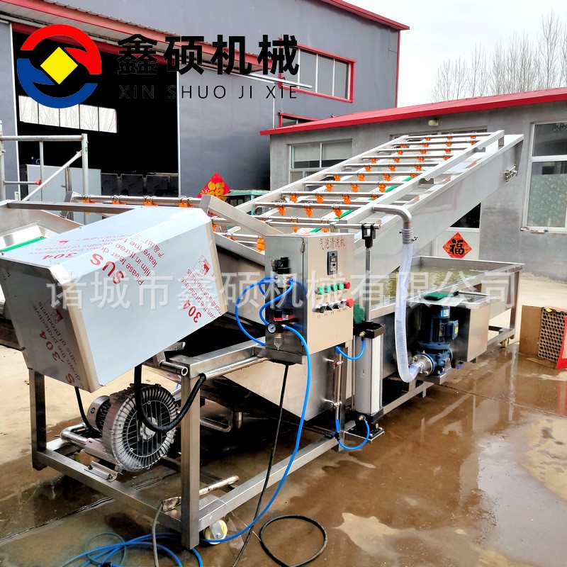 廠家供應(yīng)氣泡清洗機 不銹鋼材質(zhì)果蔬清洗線 彩椒金針菇清洗機設(shè)備
